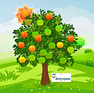 #МЫДАРИЛИАПЕЛЬСИН - #WEGREWANORANGE