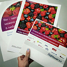 Promotional material Portbilet 2.0 for point of sale design