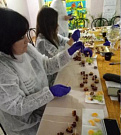 “Kolomna pastila museum factory is a guest at Vip-service”