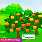 Results of the campaign #мыдарилиапельсин #wegrewanorange